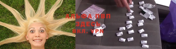 хмурый Беломорск