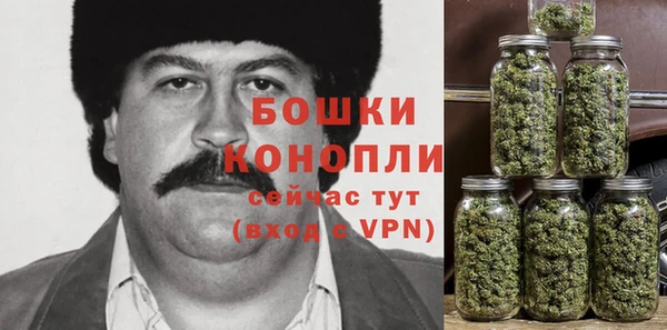 mix Белокуриха