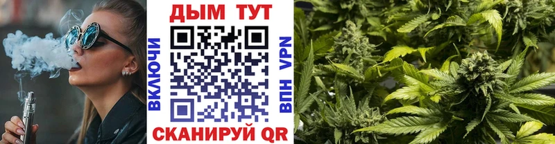 где можно купить наркотик  Курлово  Каннабис Ganja 